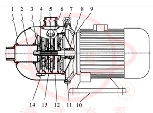 CHL臥式不銹鋼多級(jí)離心泵(外筒型)結(jié)構(gòu)圖 