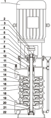 DL立式清水低轉(zhuǎn)速多級(jí)泵結(jié)構(gòu)示意圖