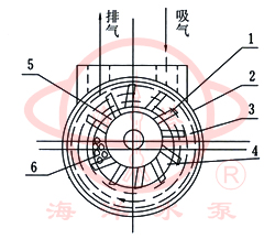 SK直聯(lián)水環(huán)式真空泵工作原理