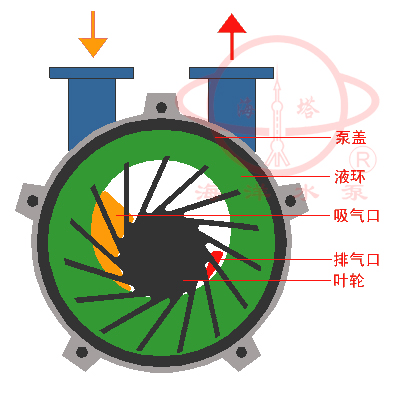 SKA(2BV)水環(huán)式真空泵結(jié)構(gòu)圖及工作原理