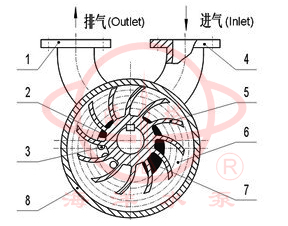 2SK雙級水環(huán)式真空泵工作原理指示圖