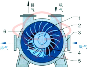 2BE1水環(huán)式真空泵示意圖